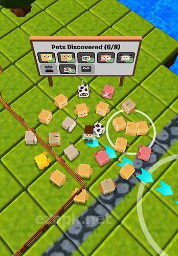Pet quest!