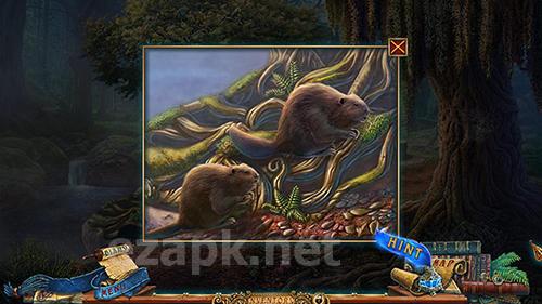 Forgotten books: The enchanted crown. Collector’s edition