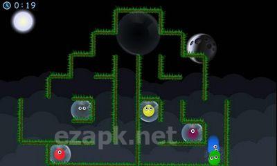 Rotate to Win