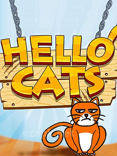 Hello cats