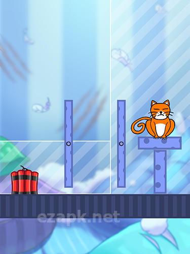 Hello cats