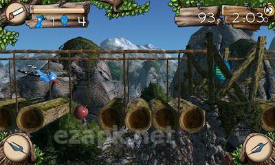 Aerial Wild Adventure