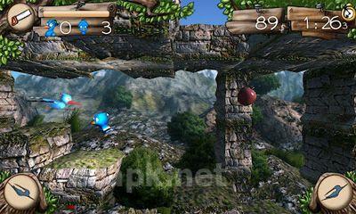 Aerial Wild Adventure