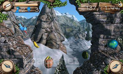 Aerial Wild Adventure