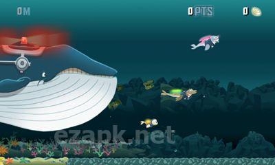 Seal Force