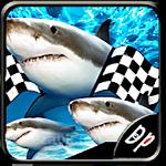 Fish race