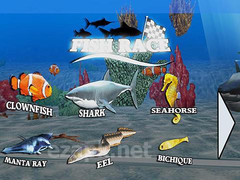 Fish race