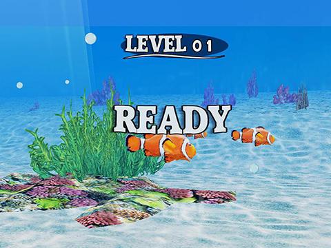 Fish race