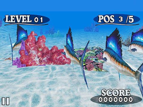 Fish race