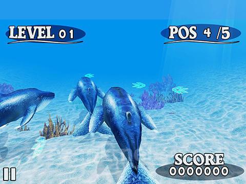 Fish race