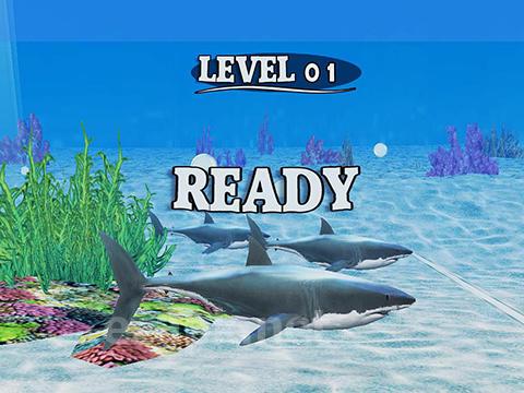 Fish race