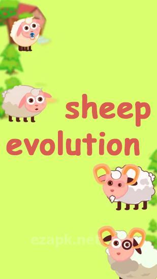 Sheep evolution