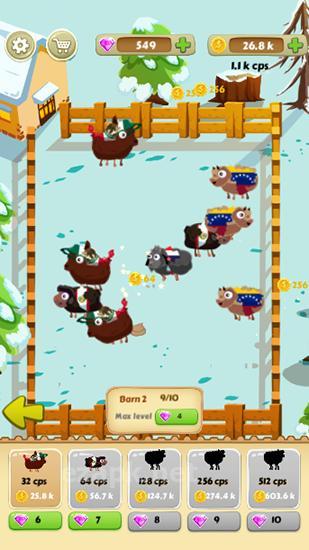Sheep evolution
