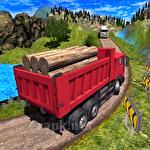 Truck driver cargo