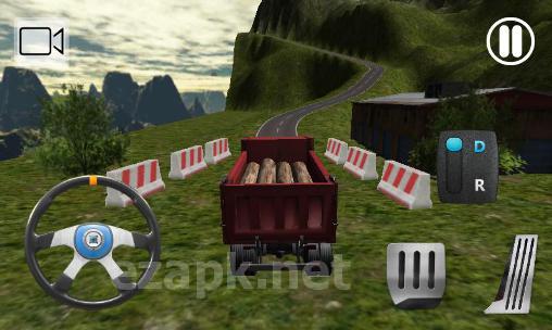 Truck driver cargo
