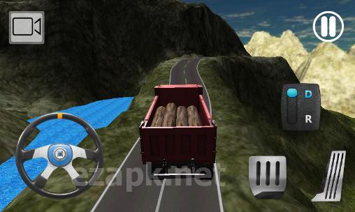 Truck driver cargo