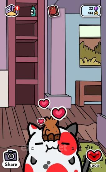 Kleptocats