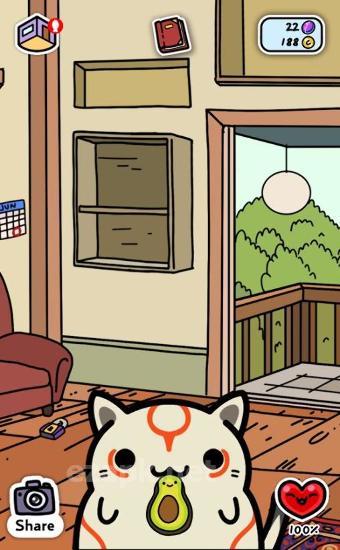 Kleptocats