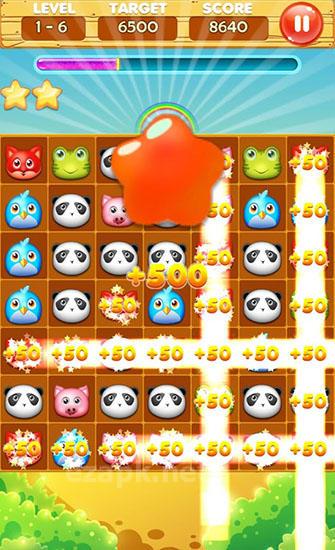 Pet line