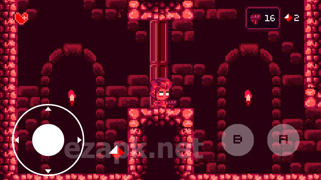 CHAMBER