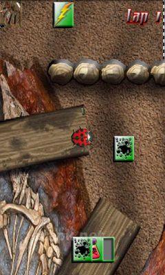 Bugs Race