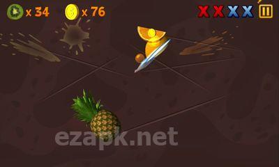 Fruit Slasher 3D