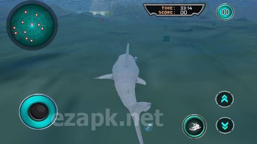 Hungry white shark revenge 3D
