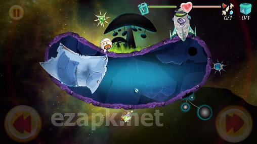 Axy galaxy