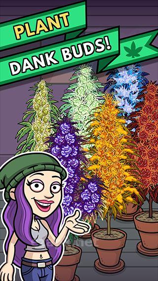 Bud Farm: 420