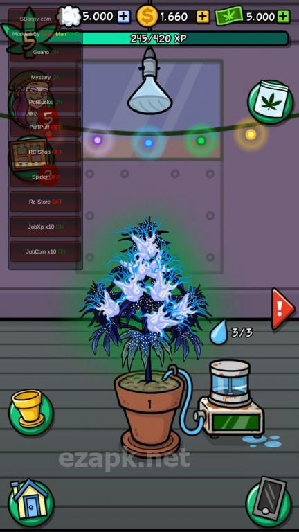 Bud Farm: 420