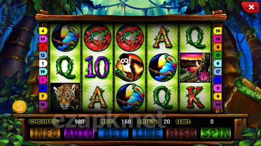 The wild slot