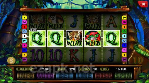 The wild slot