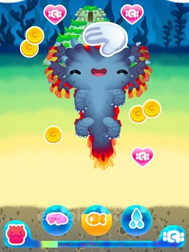 Axolochi