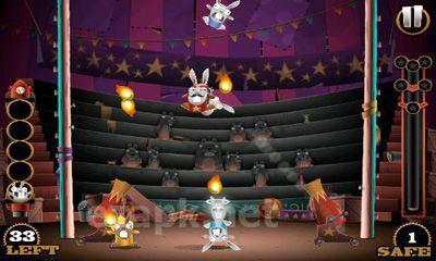 Stunt Bunnies Circus