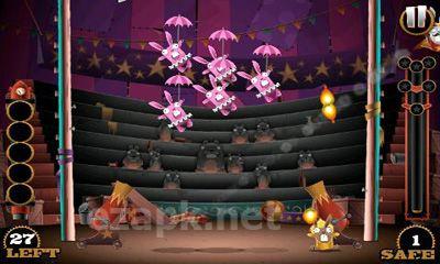 Stunt Bunnies Circus