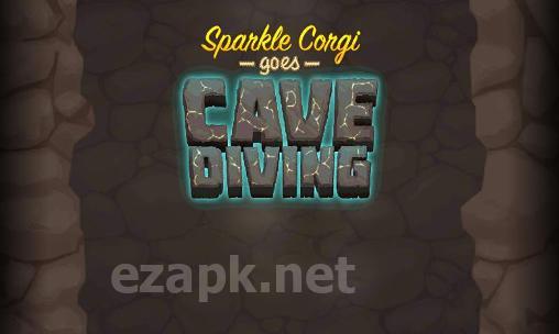 Sparkle corgi goes cave diving