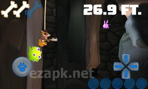 Sparkle corgi goes cave diving