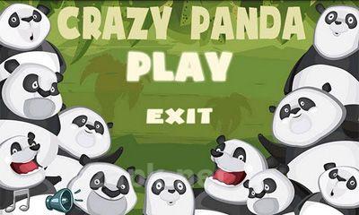 Crazy Panda