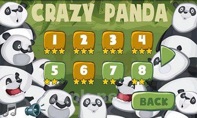Crazy Panda