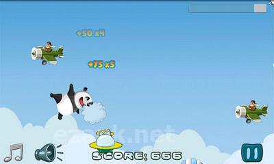 Crazy Panda