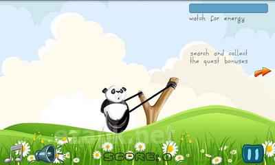 Crazy Panda