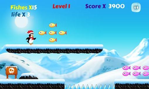 Polar penguin run