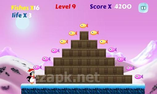 Polar penguin run