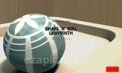 Shake 'n' Roll Labyrinth