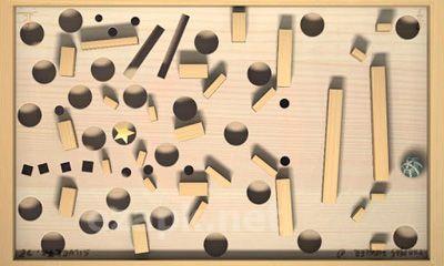 Shake 'n' Roll Labyrinth
