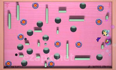 Shake 'n' Roll Labyrinth