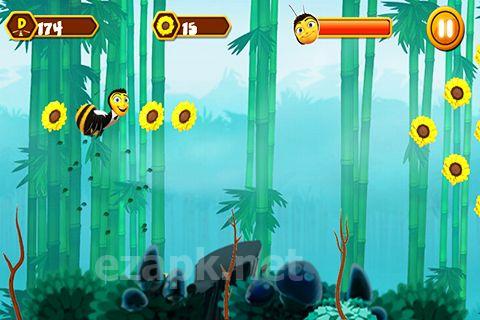Bee adventure