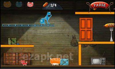 Cats, Inc
