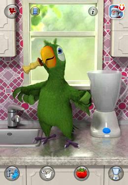 Talking Pierre the Parrot