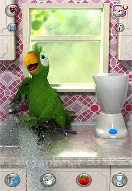 Talking Pierre the Parrot